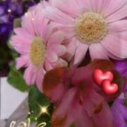 ヒメ日記 2025/08/19 07:05 投稿 徳川(とくがわ) 熟女の風俗最終章 大宮店