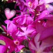 ヒメ日記 2025/08/19 07:14 投稿 徳川(とくがわ) 熟女の風俗最終章 大宮店