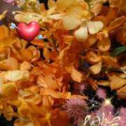 ヒメ日記 2025/08/22 06:05 投稿 徳川(とくがわ) 熟女の風俗最終章 大宮店