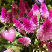 ヒメ日記 2025/08/22 07:05 投稿 徳川(とくがわ) 熟女の風俗最終章 大宮店