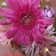 ヒメ日記 2025/08/23 07:50 投稿 徳川(とくがわ) 熟女の風俗最終章 大宮店