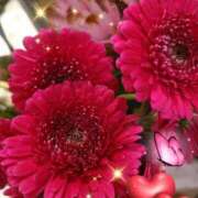 ヒメ日記 2025/08/27 08:45 投稿 徳川(とくがわ) 熟女の風俗最終章 大宮店