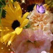 ヒメ日記 2025/08/28 06:25 投稿 徳川(とくがわ) 熟女の風俗最終章 大宮店