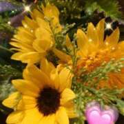 ヒメ日記 2025/08/30 06:35 投稿 徳川(とくがわ) 熟女の風俗最終章 大宮店