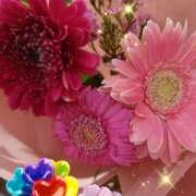 ヒメ日記 2025/08/31 07:36 投稿 徳川(とくがわ) 熟女の風俗最終章 大宮店