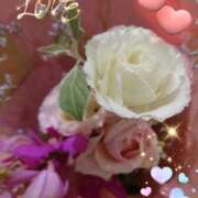 ヒメ日記 2025/09/06 06:35 投稿 徳川(とくがわ) 熟女の風俗最終章 大宮店