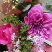 ヒメ日記 2025/11/08 05:55 投稿 徳川(とくがわ) 熟女の風俗最終章 大宮店