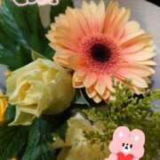 ヒメ日記 2025/11/10 06:45 投稿 徳川(とくがわ) 熟女の風俗最終章 大宮店