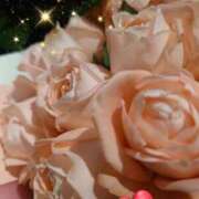 ヒメ日記 2025/11/12 05:15 投稿 徳川(とくがわ) 熟女の風俗最終章 大宮店