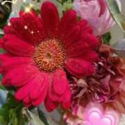 ヒメ日記 2025/11/29 07:45 投稿 徳川(とくがわ) 熟女の風俗最終章 大宮店