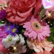 ヒメ日記 2025/12/05 06:15 投稿 徳川(とくがわ) 熟女の風俗最終章 大宮店