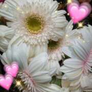 徳川(とくがわ) Ｙさま御礼です♡ 熟女の風俗最終章 大宮店