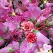 ヒメ日記 2025/12/12 04:55 投稿 徳川(とくがわ) 熟女の風俗最終章 大宮店