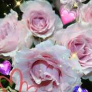 ヒメ日記 2025/12/28 05:55 投稿 徳川(とくがわ) 熟女の風俗最終章 大宮店