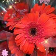 ヒメ日記 2026/01/05 06:45 投稿 徳川(とくがわ) 熟女の風俗最終章 大宮店