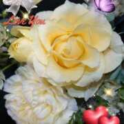 ヒメ日記 2026/01/06 05:25 投稿 徳川(とくがわ) 熟女の風俗最終章 大宮店