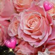 ヒメ日記 2026/01/06 07:25 投稿 徳川(とくがわ) 熟女の風俗最終章 大宮店