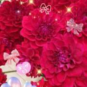 ヒメ日記 2026/01/07 07:25 投稿 徳川(とくがわ) 熟女の風俗最終章 大宮店