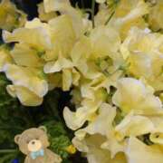 ヒメ日記 2026/01/08 18:45 投稿 徳川(とくがわ) 熟女の風俗最終章 大宮店