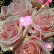 徳川(とくがわ) 本指名。Ｍさま御礼です♡ 熟女の風俗最終章 大宮店