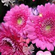 ヒメ日記 2026/01/30 07:55 投稿 徳川(とくがわ) 熟女の風俗最終章 大宮店