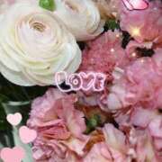 ヒメ日記 2026/01/31 05:35 投稿 徳川(とくがわ) 熟女の風俗最終章 大宮店