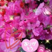 ヒメ日記 2026/02/02 06:05 投稿 徳川(とくがわ) 熟女の風俗最終章 大宮店