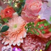 ヒメ日記 2026/02/20 08:45 投稿 徳川(とくがわ) 熟女の風俗最終章 大宮店