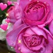 ヒメ日記 2026/02/24 05:45 投稿 徳川(とくがわ) 熟女の風俗最終章 大宮店