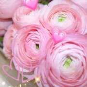 ヒメ日記 2026/02/25 08:55 投稿 徳川(とくがわ) 熟女の風俗最終章 大宮店