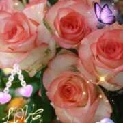 ヒメ日記 2026/02/27 06:35 投稿 徳川(とくがわ) 熟女の風俗最終章 大宮店