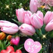 ヒメ日記 2026/03/06 07:55 投稿 徳川(とくがわ) 熟女の風俗最終章 大宮店