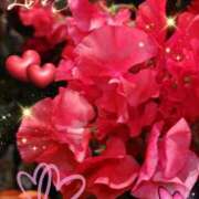 ヒメ日記 2026/03/11 06:32 投稿 徳川(とくがわ) 熟女の風俗最終章 大宮店