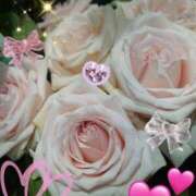 ヒメ日記 2026/03/12 06:30 投稿 徳川(とくがわ) 熟女の風俗最終章 大宮店