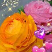 ヒメ日記 2026/03/16 07:45 投稿 徳川(とくがわ) 熟女の風俗最終章 大宮店