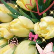 ヒメ日記 2026/03/19 05:35 投稿 徳川(とくがわ) 熟女の風俗最終章 大宮店