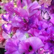 ヒメ日記 2026/03/19 05:45 投稿 徳川(とくがわ) 熟女の風俗最終章 大宮店