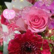 ヒメ日記 2026/03/23 21:55 投稿 徳川(とくがわ) 熟女の風俗最終章 大宮店