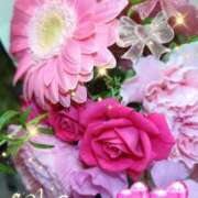 ヒメ日記 2026/03/25 06:25 投稿 徳川(とくがわ) 熟女の風俗最終章 大宮店