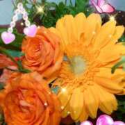 ヒメ日記 2026/04/05 06:15 投稿 徳川(とくがわ) 熟女の風俗最終章 大宮店