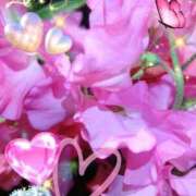 ヒメ日記 2026/04/07 05:15 投稿 徳川(とくがわ) 熟女の風俗最終章 大宮店