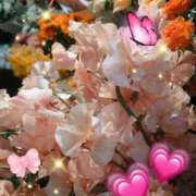 ヒメ日記 2026/04/09 05:25 投稿 徳川(とくがわ) 熟女の風俗最終章 大宮店