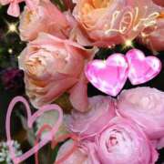 ヒメ日記 2026/04/11 08:27 投稿 徳川(とくがわ) 熟女の風俗最終章 大宮店