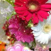 ヒメ日記 2026/04/12 06:25 投稿 徳川(とくがわ) 熟女の風俗最終章 大宮店