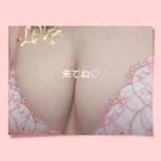 ヒメ日記 2026/09/08 00:55 投稿 徳川(とくがわ) 熟女の風俗最終章 大宮店