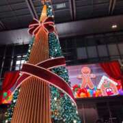 ヒメ日記 2024/12/27 00:07 投稿 うるは 愛知弥富ちゃんこ