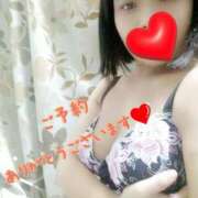 ヒメ日記 2024/12/31 20:21 投稿 うるは 愛知弥富ちゃんこ