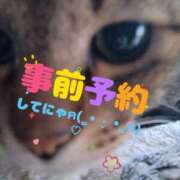 ヒメ日記 2025/02/23 17:02 投稿 うるは 愛知弥富ちゃんこ