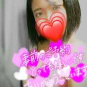 ヒメ日記 2025/04/25 08:12 投稿 うるは 愛知弥富ちゃんこ