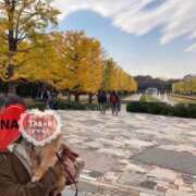 ヒメ日記 2025/11/26 17:32 投稿 りな 横浜人妻セレブリティ（ユメオト）